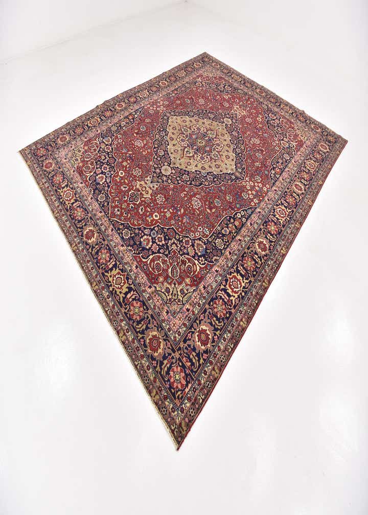 9' 6 x 12' 4 Hand Knotted Birjand Persian Wool Rug