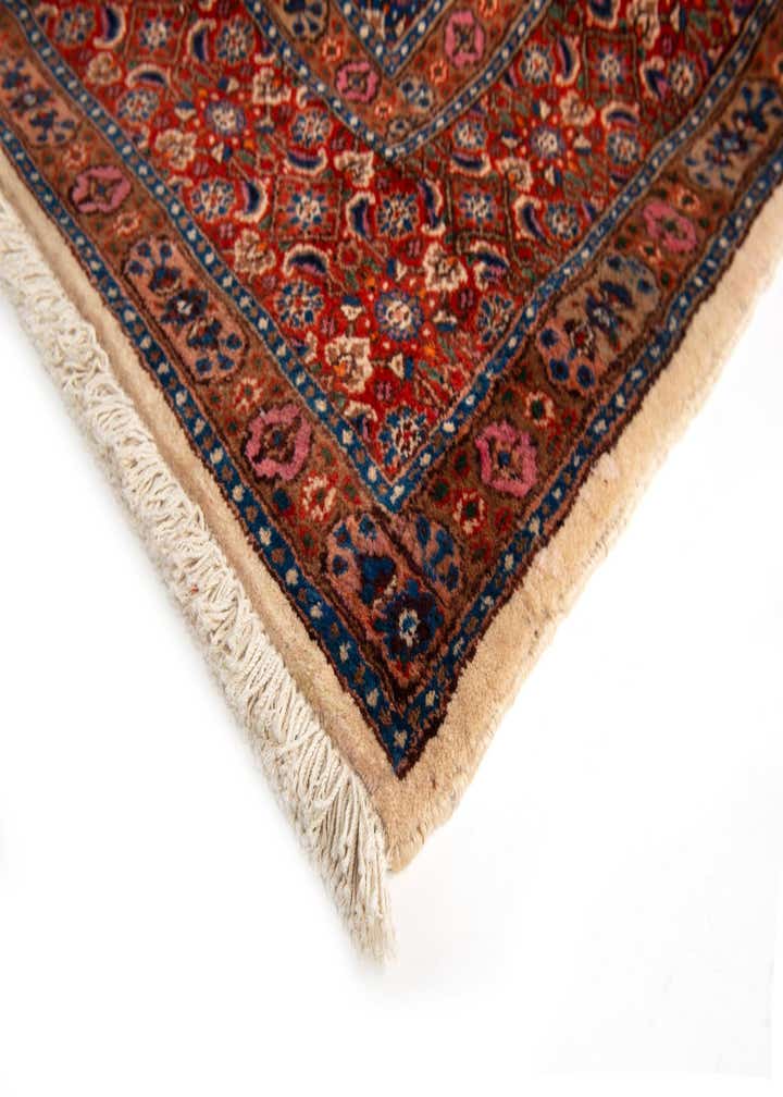 10' x 13' Birjend Rug