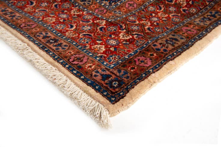 Detail image of 10' x 13' Birjend Rug