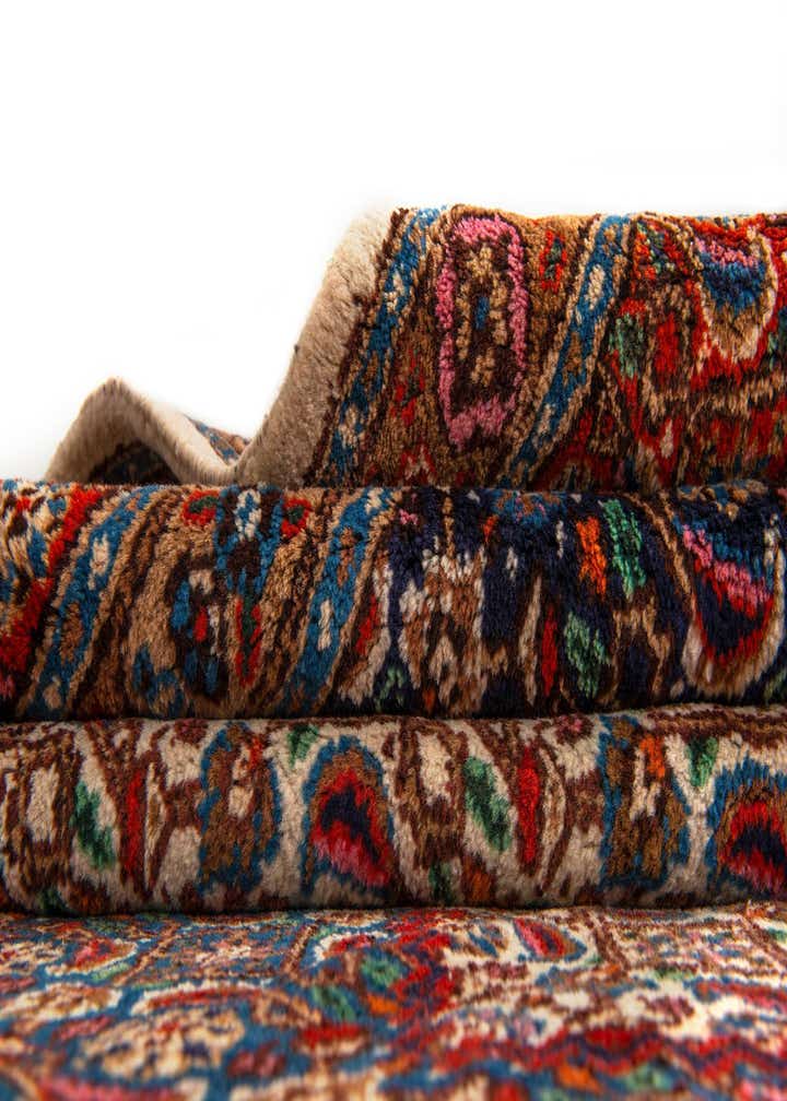 10' x 13' Birjend Rug