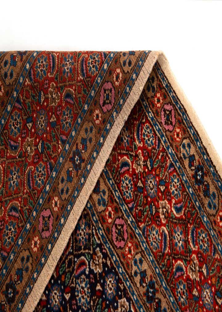 10' x 13' Birjend Rug