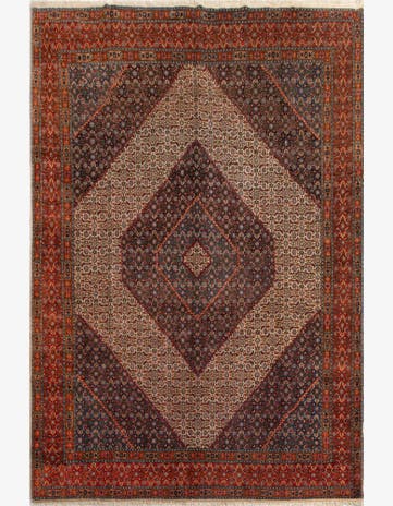 10' x 13' Birjend Rug