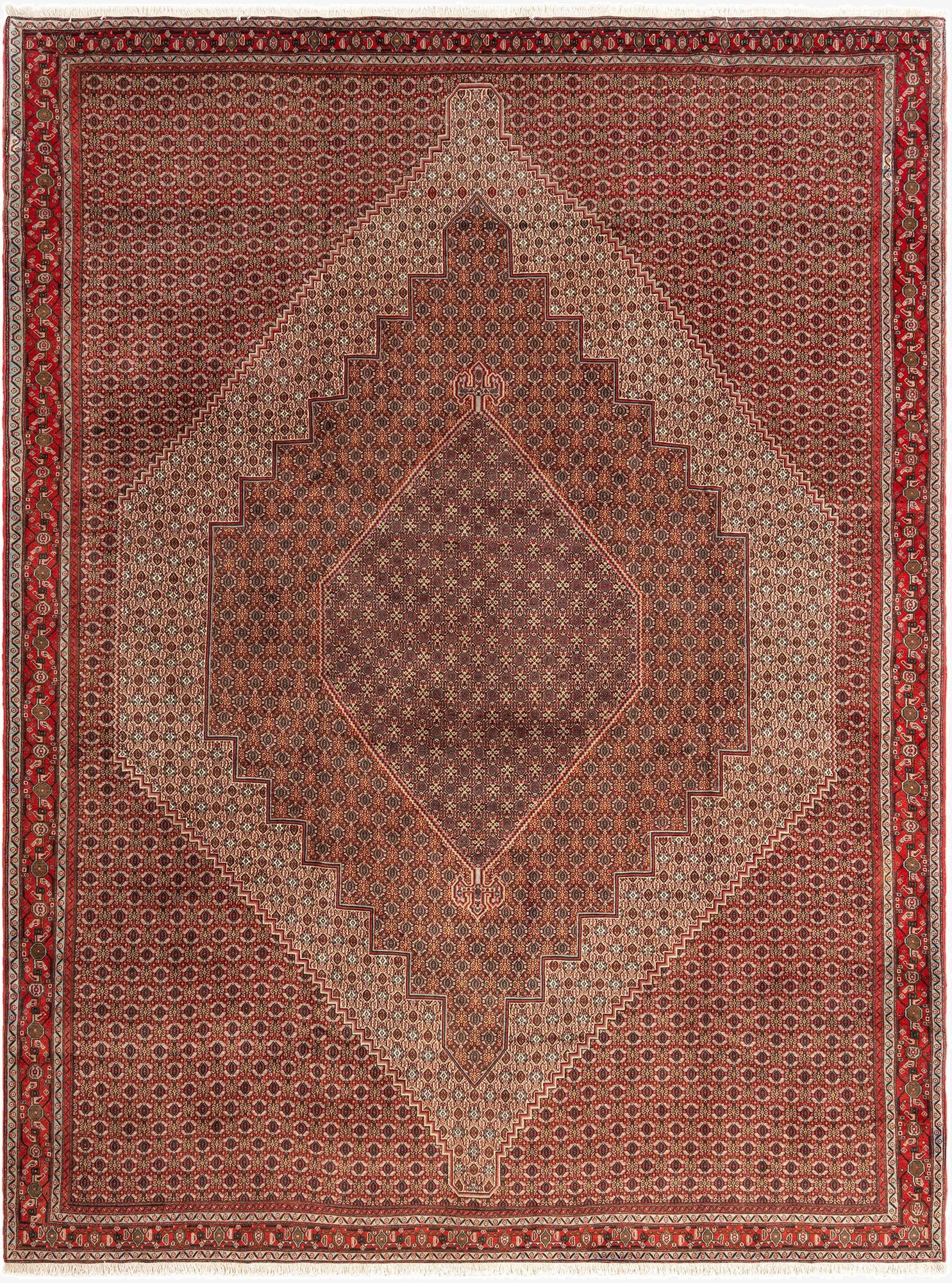 10' x 13' 2 Birjend Rug