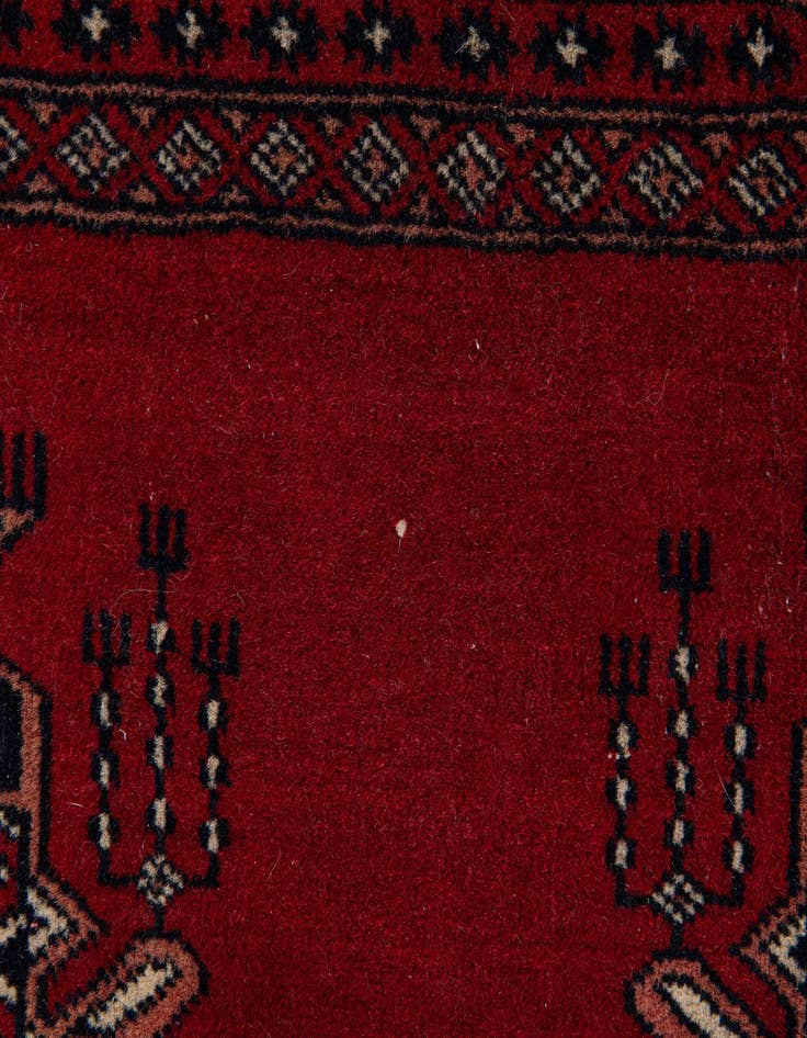 Detail image of 3' 1 x 4' 4  Hand Knotted Bokhara Oriental Wool Rug