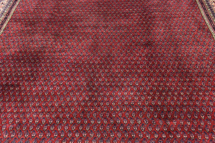 Detail image of 8' 5 x 10' 5 Hand Knotted Botemir Persian Wool Rug