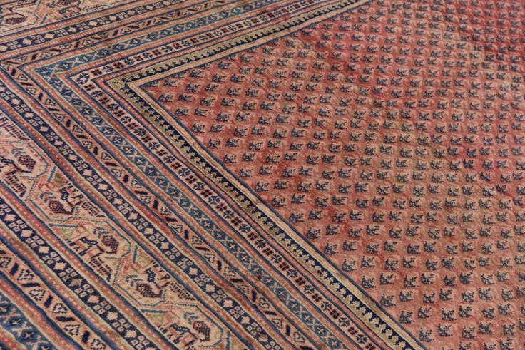 Detail image of 10' 10 x 13' 5 Hand Knotted Botemir Persian Wool Rug