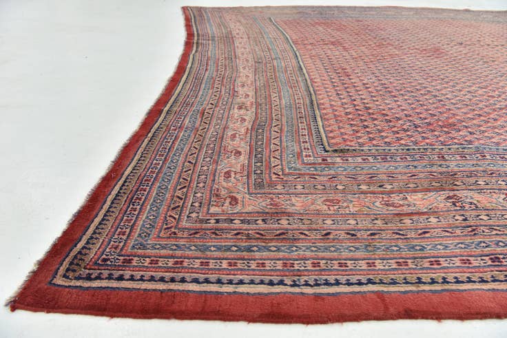 Detail image of 10' 10 x 13' 5 Hand Knotted Botemir Persian Wool Rug