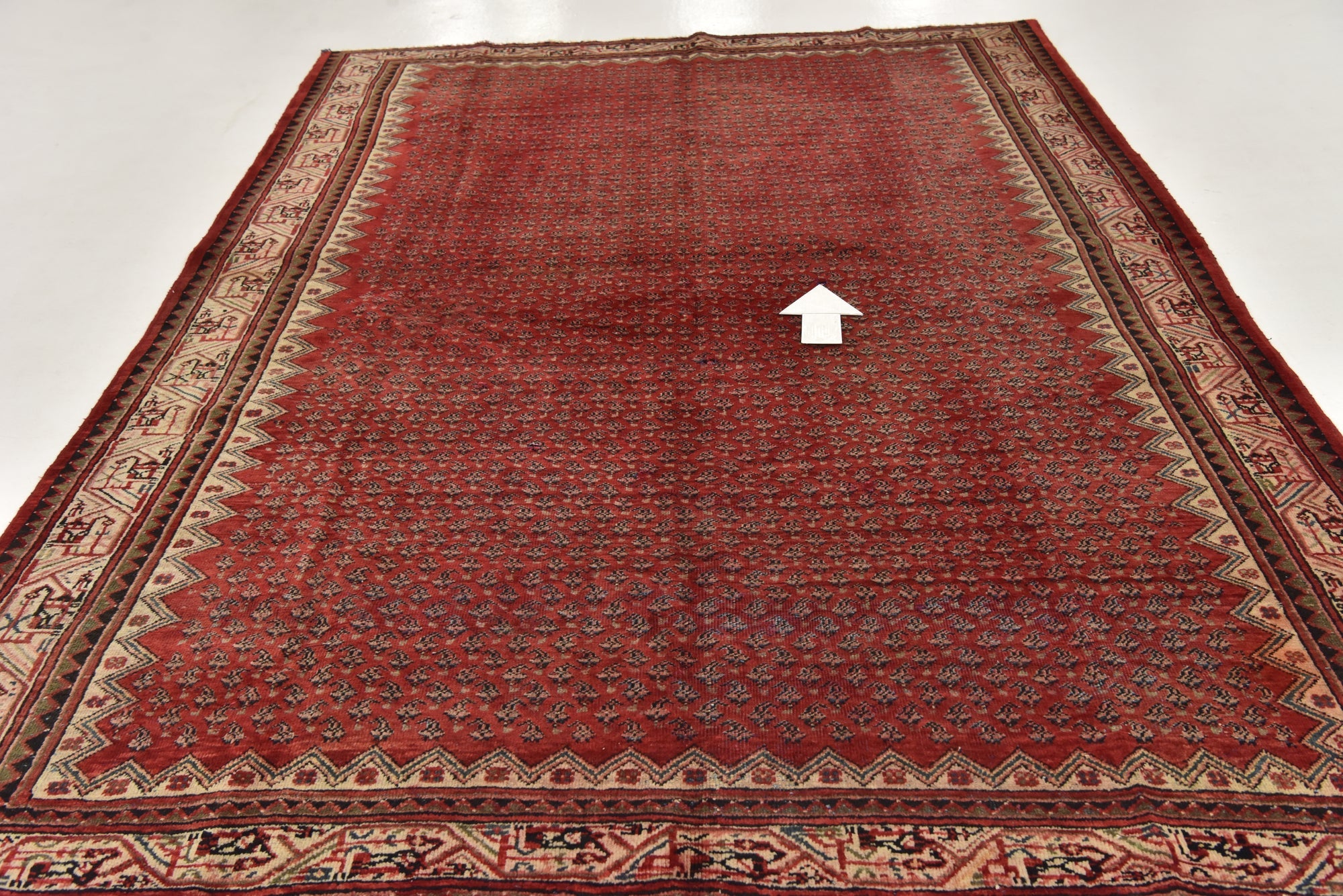 7' x 10' 2 Hand Knotted Botemir Persian Wool Rug