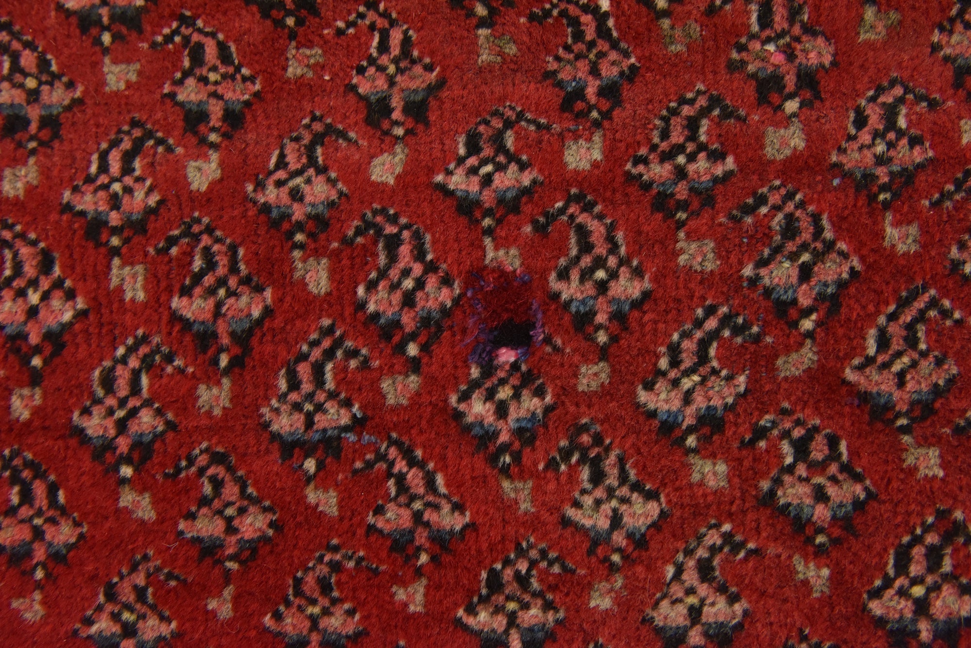 7' x 10' 2 Hand Knotted Botemir Persian Wool Rug