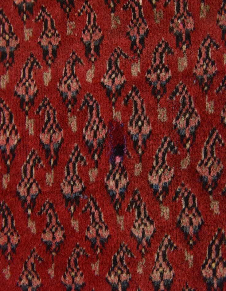 Detail image of 7' x 10' 2 Hand Knotted Botemir Persian Wool Rug