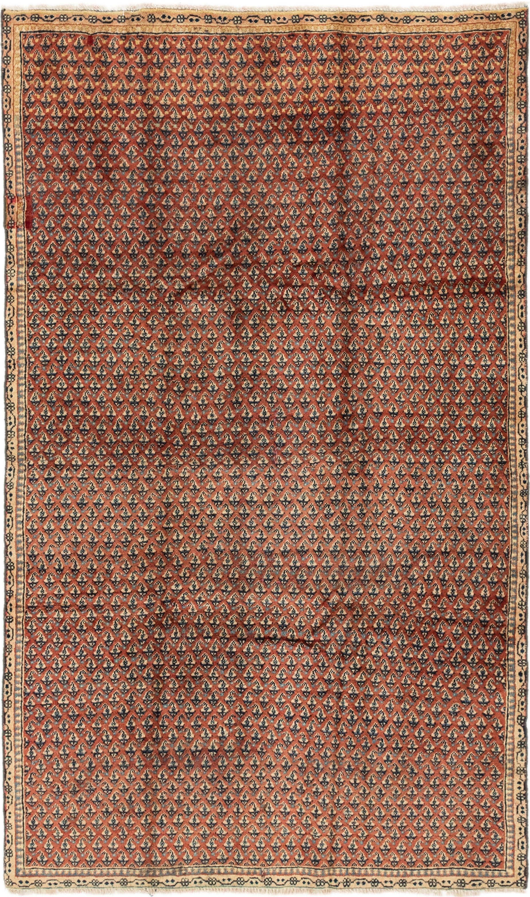 5' x 8' 3 Hand Knotted Botemir Persian Rug