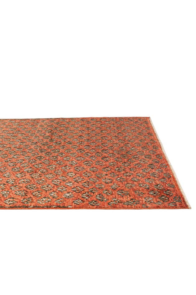 Detail image of 5' 10 x 7' 7 Hand Knotted Darya Wool Rug