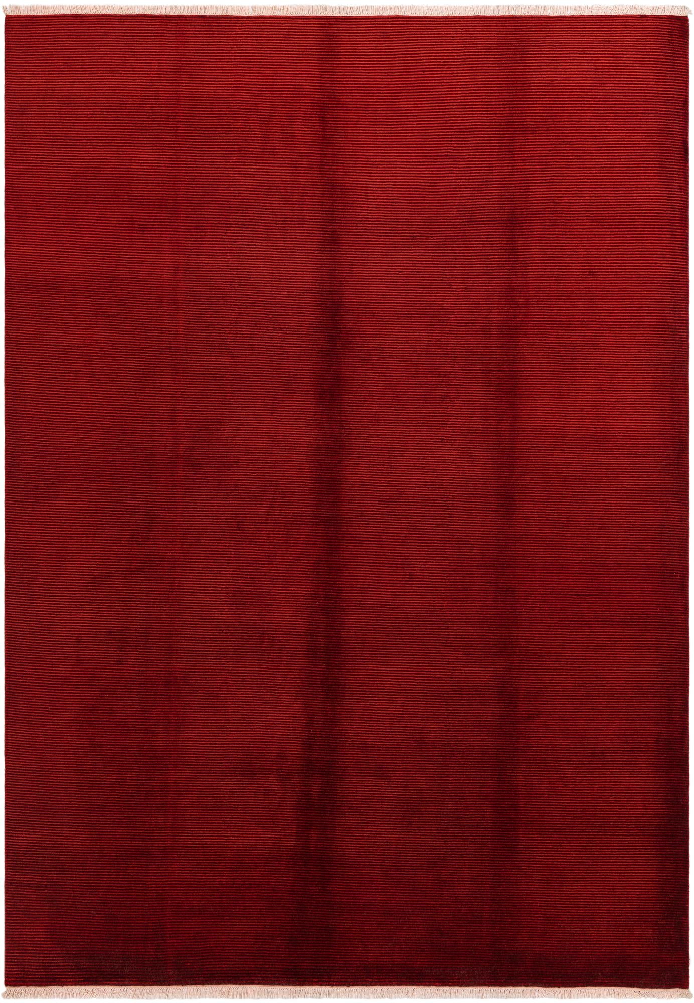 8' 2 x 11' 5 Hand Knotted Darya Wool Rug