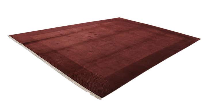 9' 9 x 13' 1 Hand Knotted Darya Wool Rug