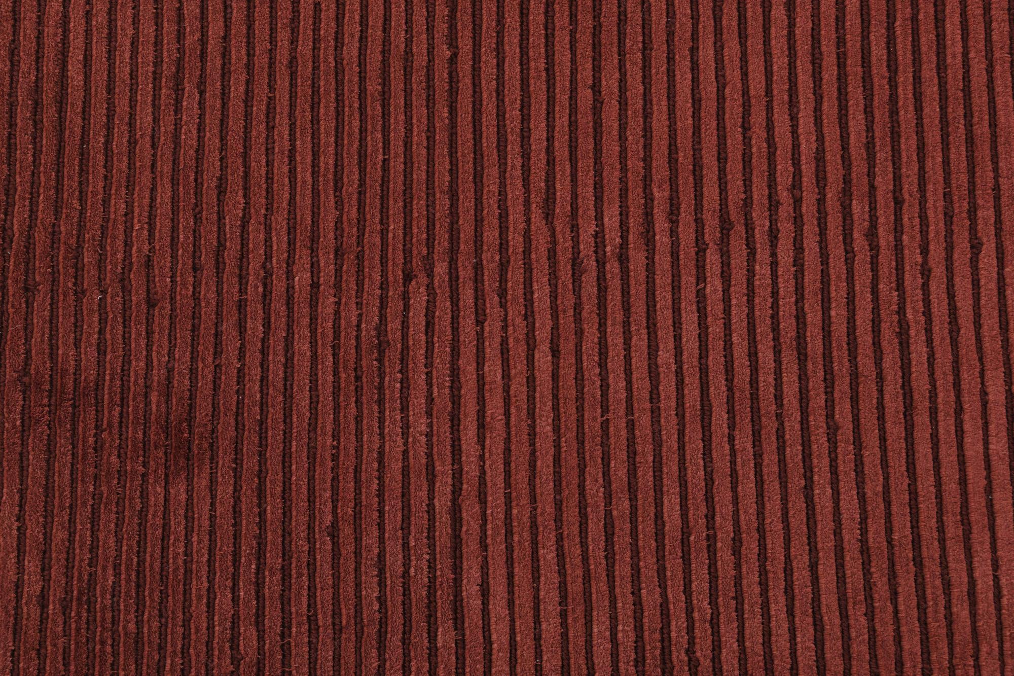 9' 9 x 13' 1 Hand Knotted Darya Wool Rug