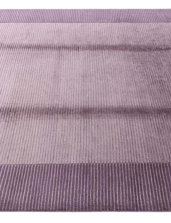 5' 6 x 8' Darya Rug
