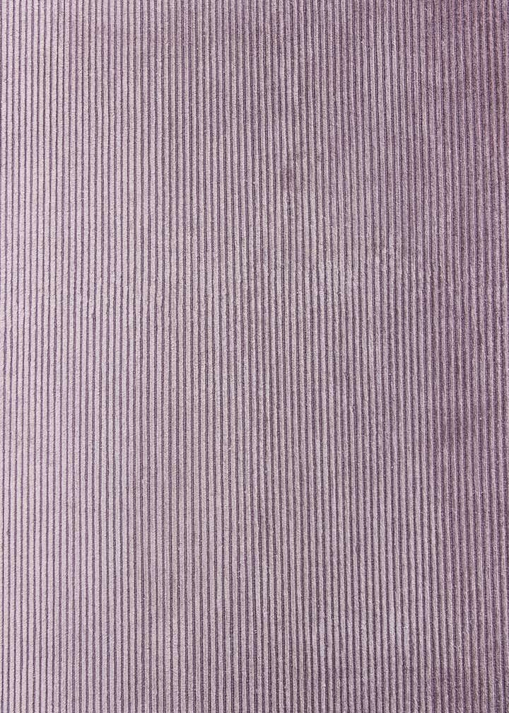 5' 6 x 8' 1 Darya Rug