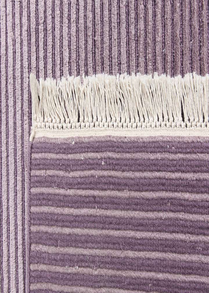 5' 6 x 8' 1 Darya Rug