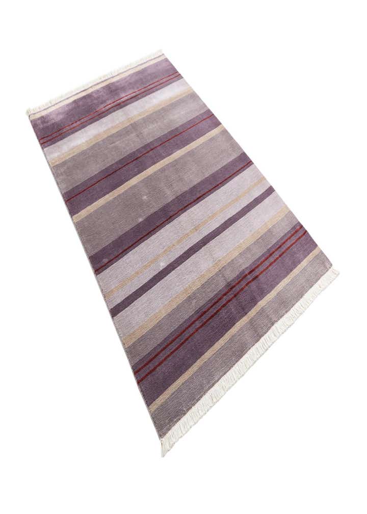3' 11 x 6' 1 Darya Rug