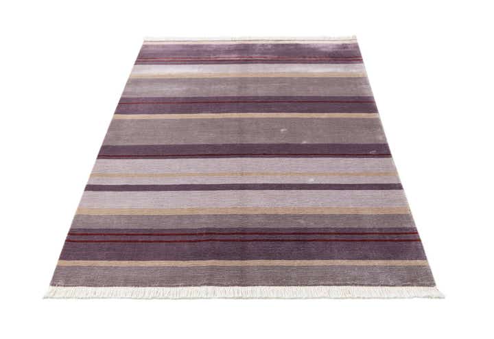 3' 11 x 6' 1 Darya Rug