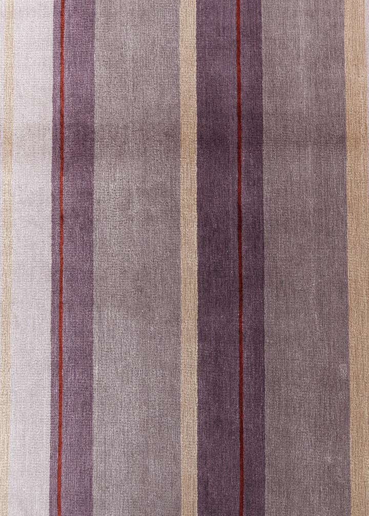 3' 11 x 6' 1 Darya Rug
