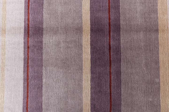 3' 11 x 6' 1 Darya Rug