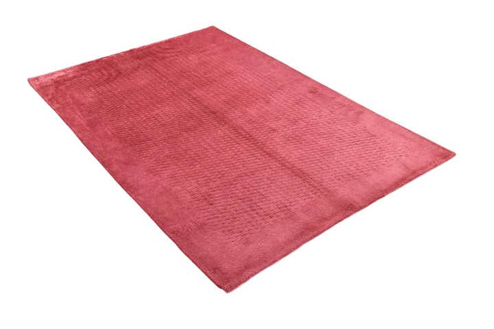 3' 11 x 5' 11 Darya Rug