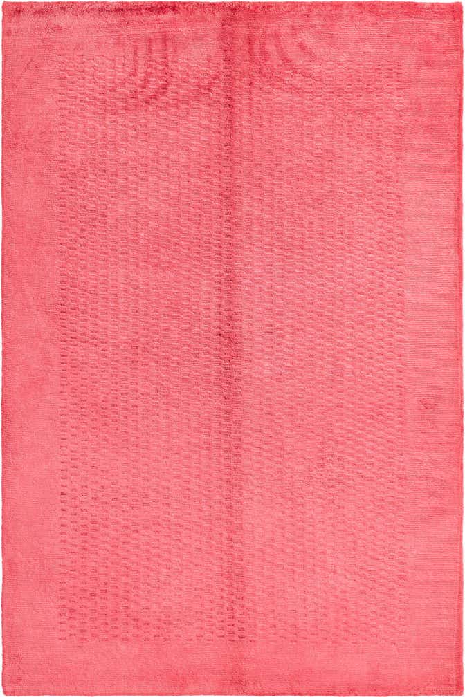 3' 11 x 5' 11 Darya Rug