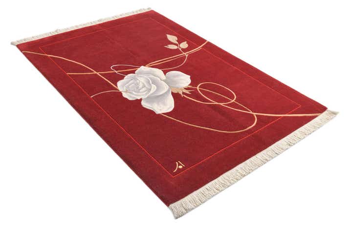 3' 11 x 5' 11 Darya Rug