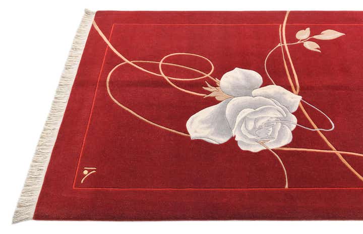 3' 11 x 5' 11 Darya Rug