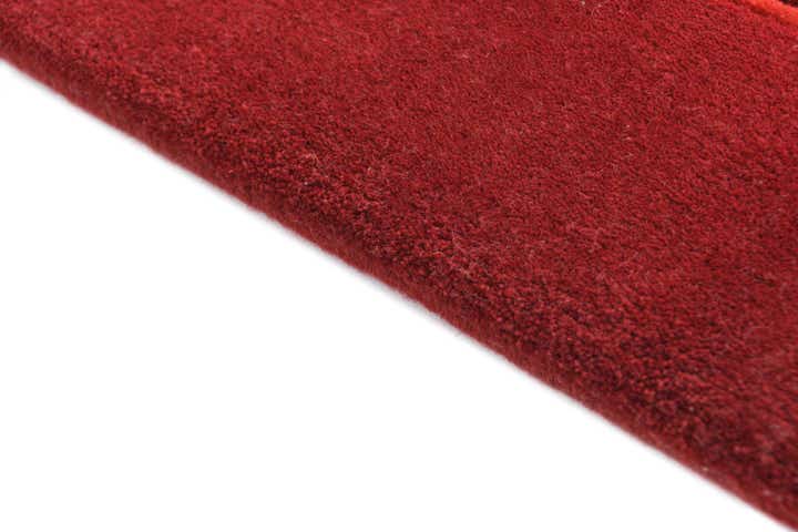 3' 11 x 5' 11 Darya Rug