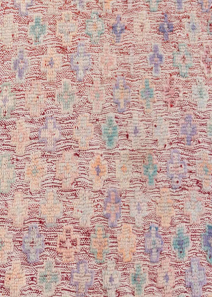 9' 1 x 11' 9 Hand Knotted Darya Wool Rug