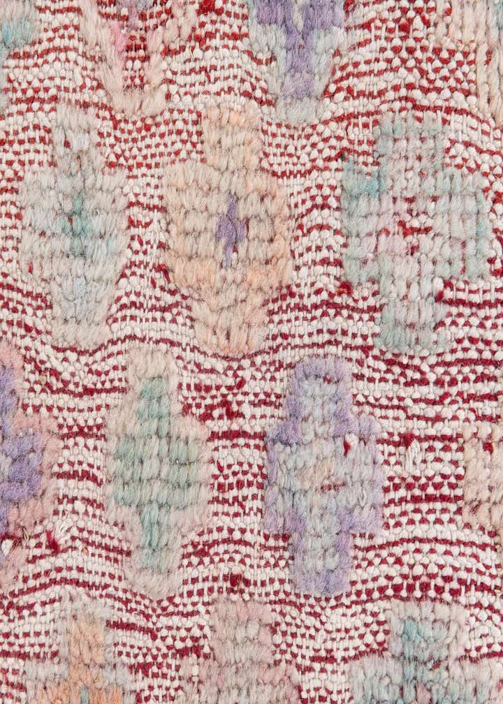 9' 1 x 11' 9 Hand Knotted Darya Wool Rug