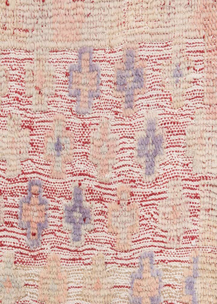 9' 1 x 11' 9 Hand Knotted Darya Wool Rug