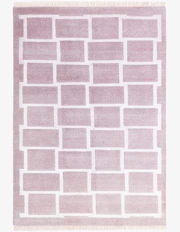 4' x 5' 11 Darya Rug