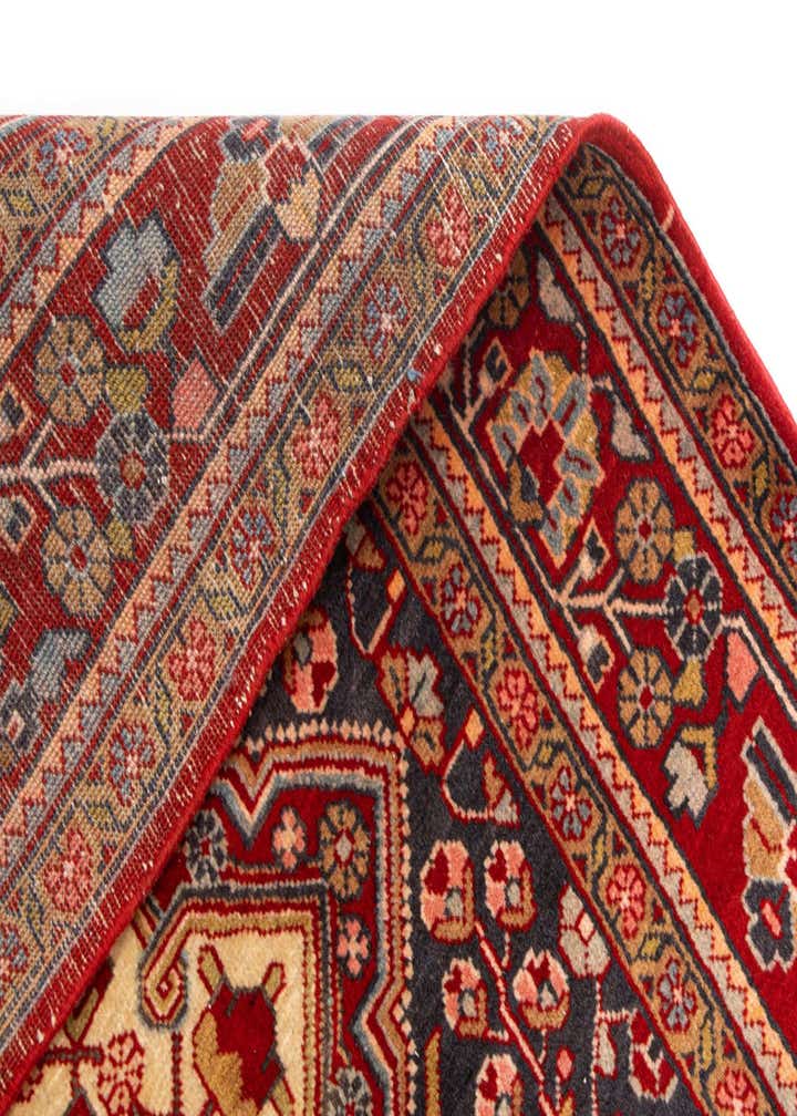 3' 5 x 5' 7 Djosan Rug