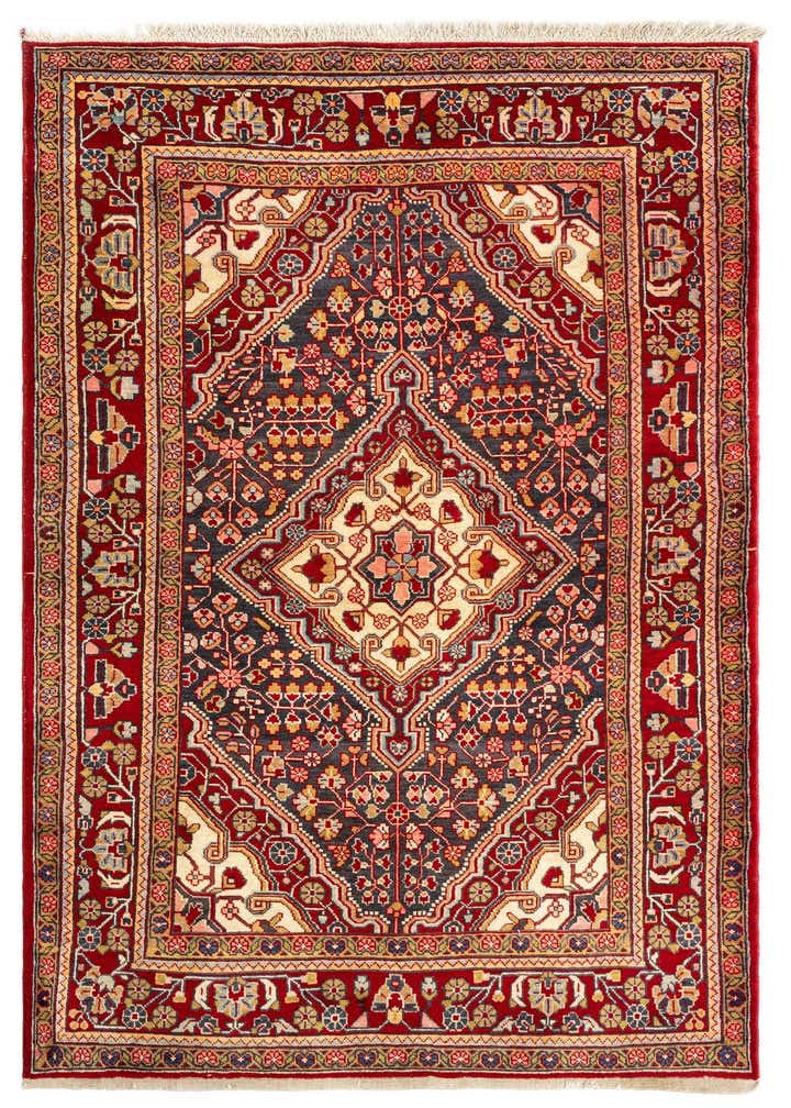 3' 5 x 5' 7 Djosan Rug