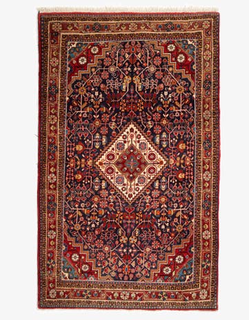 4' 3 x 6' 11 Djosan Wool Rug