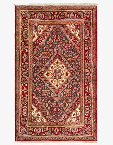 3' 5 x 5' 7 Djosan Rug