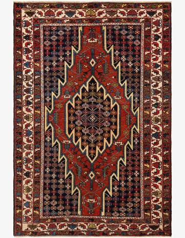4' 5 x 6' 8 Djosan Rug
