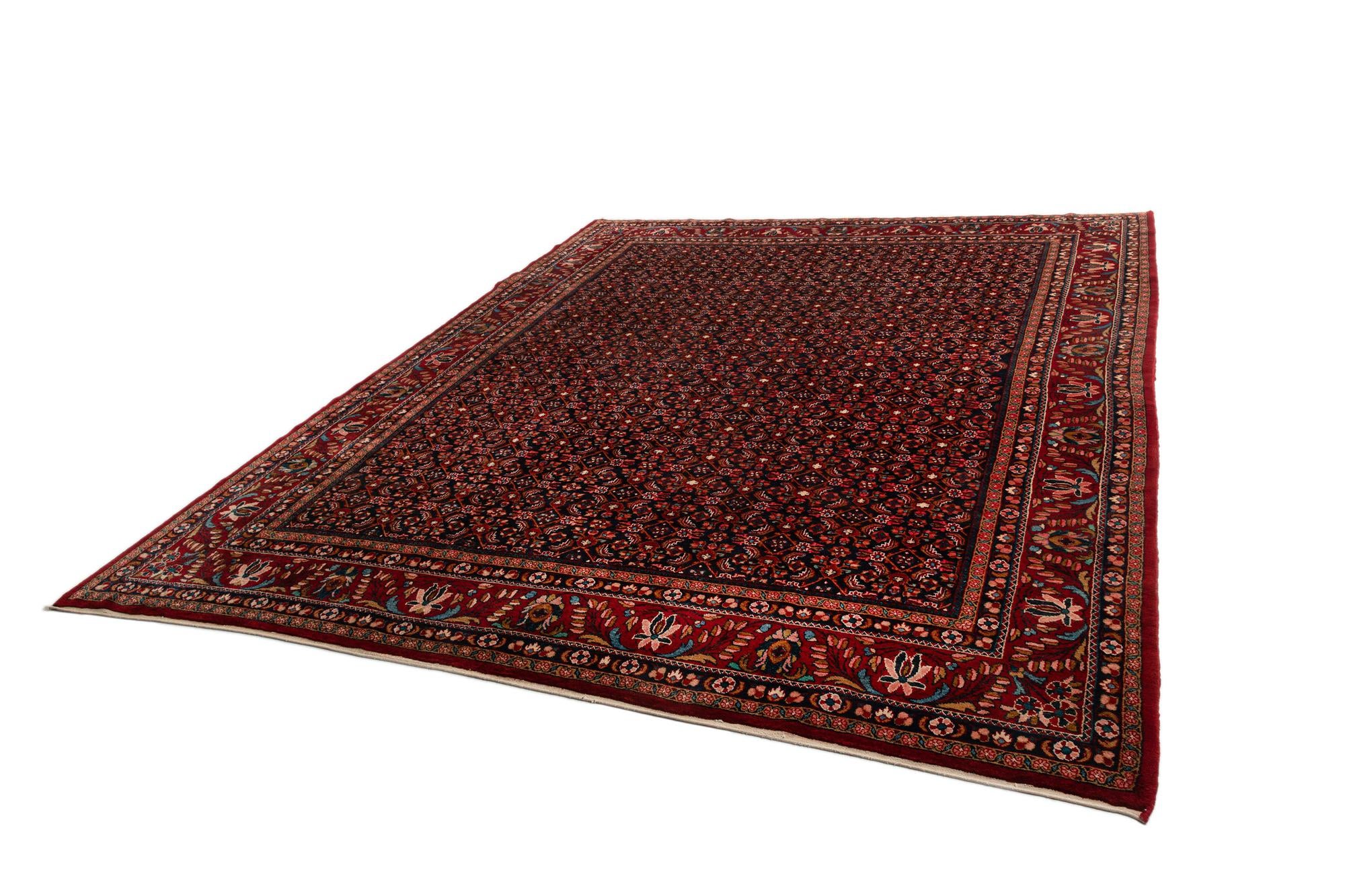 10' 11 x 13' 3 Endjalas Wool Rug