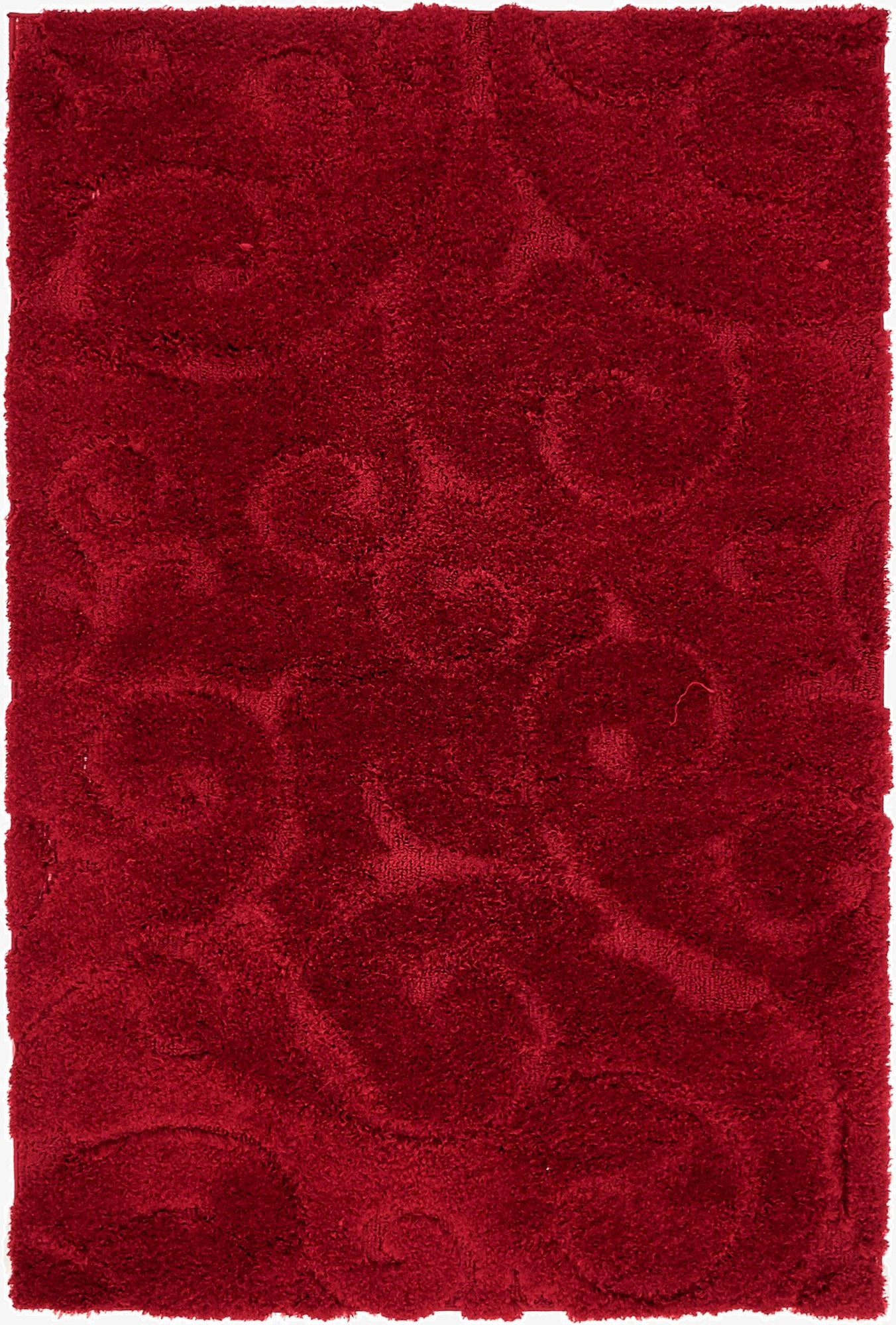 4' x 6' Floral Shag Rug