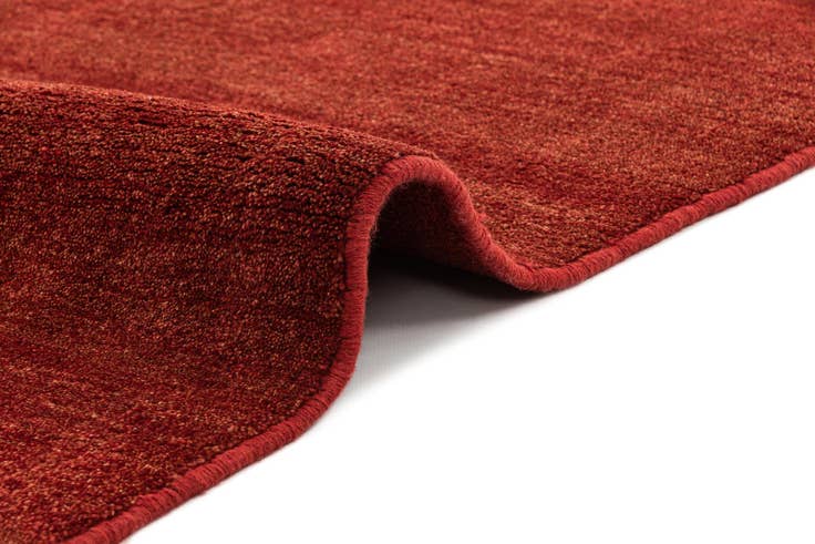 Detail image of 4' 10 x 6' 6 Gabbeh Shouli Rug