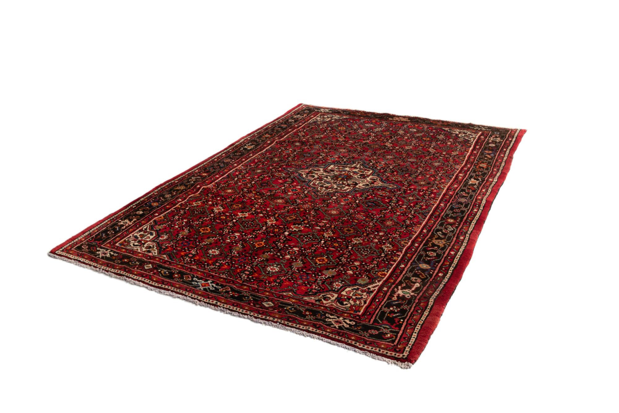 6' 11 x 10' 2 Hamedan Wool Rug