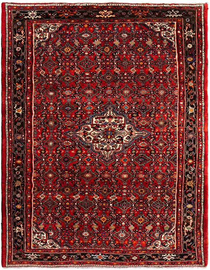 Detail image of 6' 11 x 10' 2 Hamedan Wool Rug