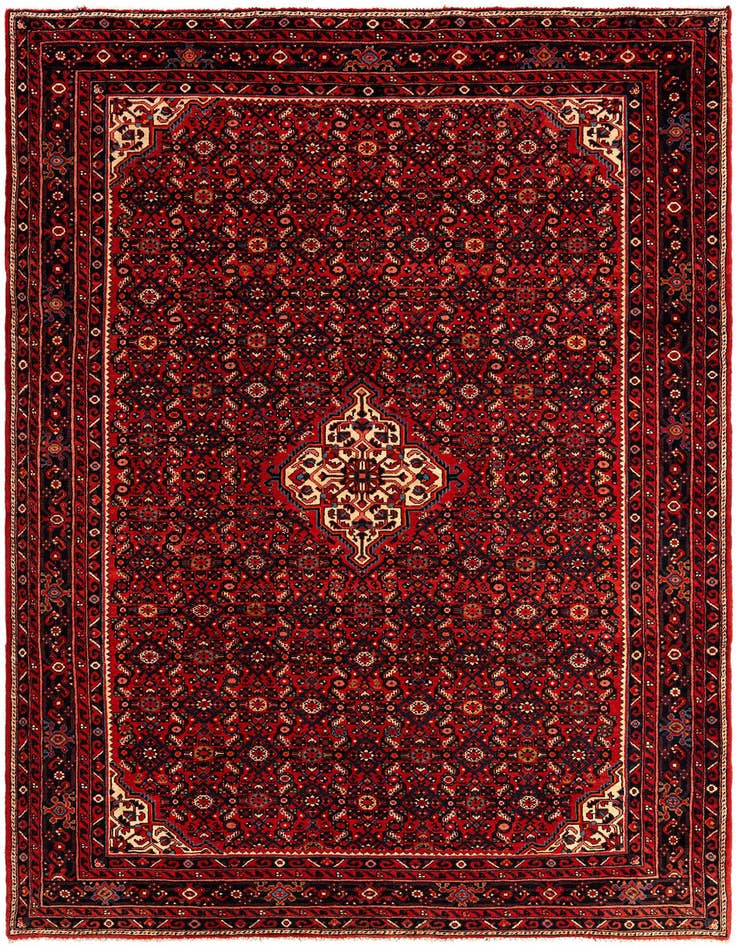Detail image of 7' 1 x 10' 1 Hamedan Wool Rug