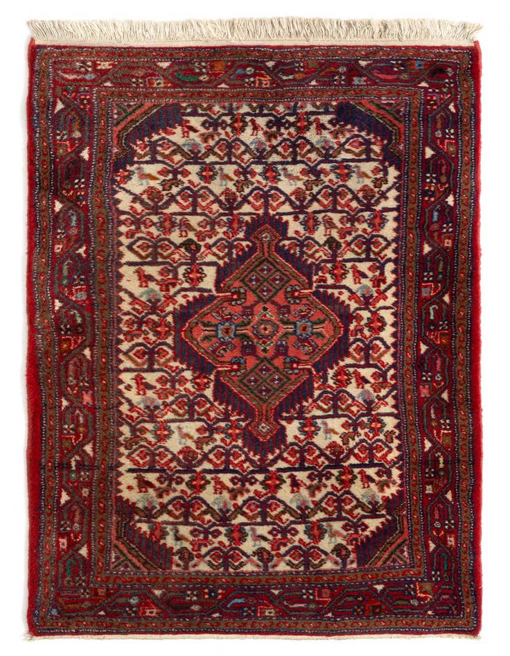 Detail image of 2' 6 x 4' 2 Hamedan Wool Rug