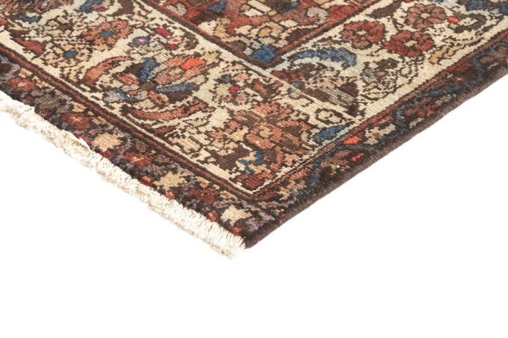 Detail image of 4' 5 x 9' 2 Hamedan Rug