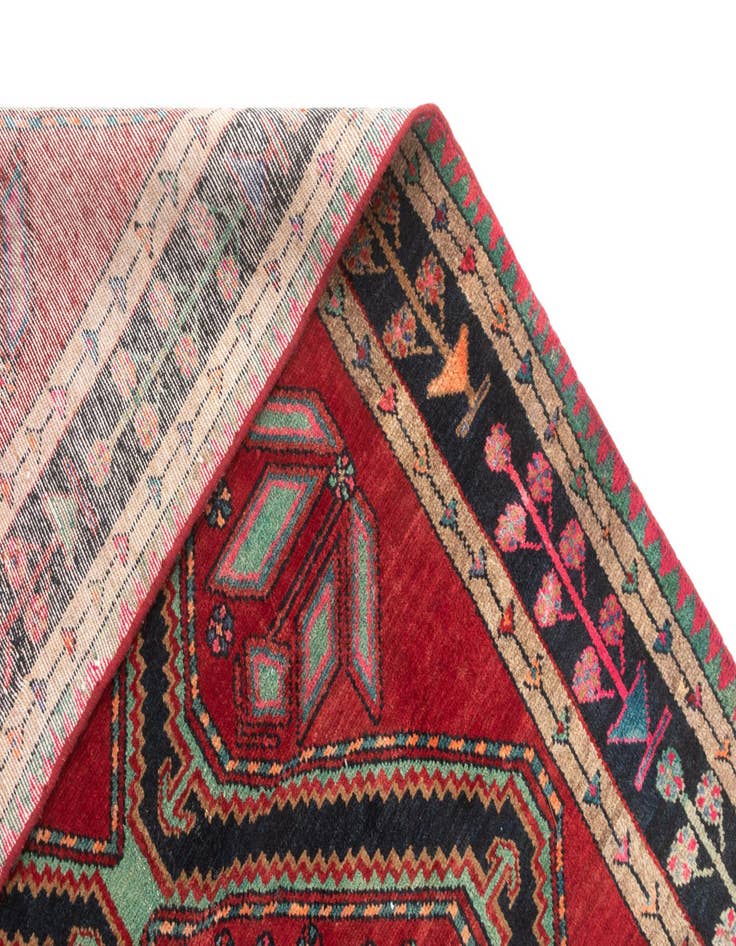 Detail image of 4' 8 x 8' 3 Hamedan Rug