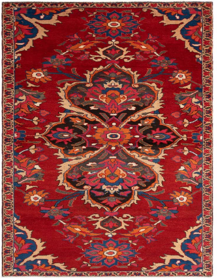 Detail image of 3' 10 x 9' 2 Hamedan Rug